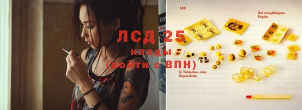 дживик Горняк