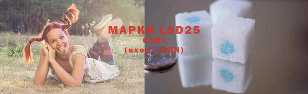 дживик Горняк