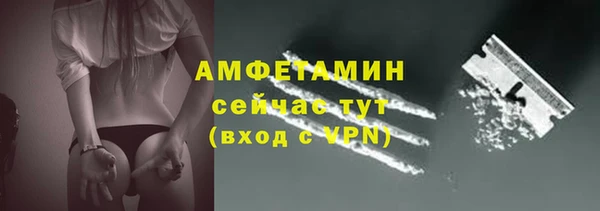 дживик Горняк